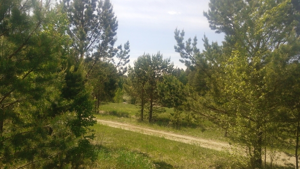 
  Продается земельный участок, 5800 соток, село Баюновские Ключи
. Фото 13.