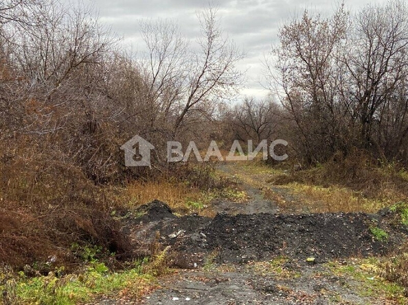 
  Продается земельный участок, 1711.39 соток, поселок Березовка
. Фото 1.