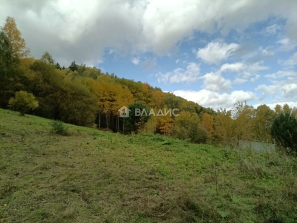 
  Продается земельный участок, 318.27 соток, Белокуриха
. Фото 1.