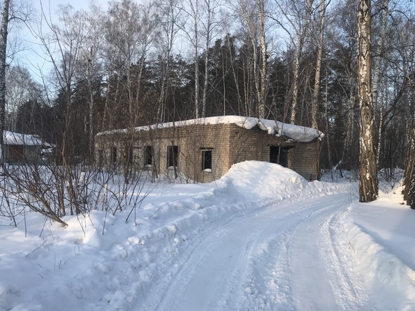 
  Продается земельный участок, 34 сотки, село Зимари
. Фото 2.