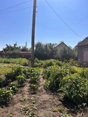 
  Продается коттедж, 65.8 м², село Чистюнька
. Фото 19.