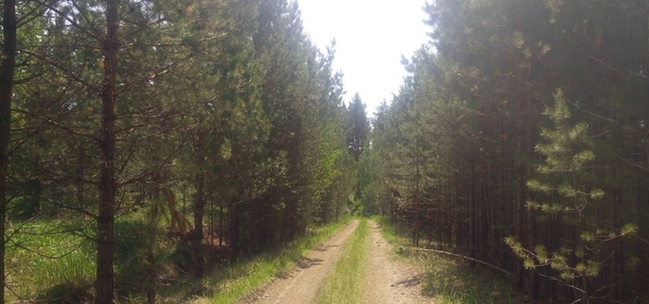 
  Продается земельный участок, 9 соток, село Баюновские Ключи
. Фото 14.