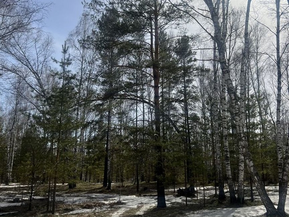 
  Продается земельный участок, 9 соток, село Баюновские Ключи
. Фото 15.