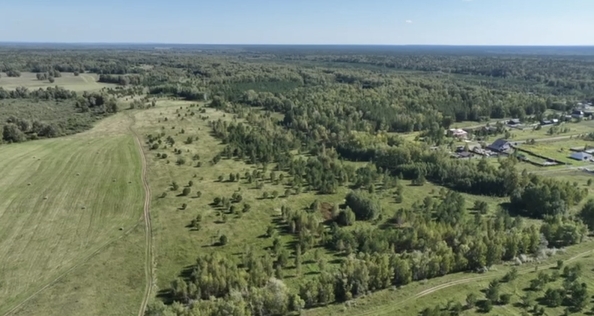 
  Продается земельный участок, 8 соток, село Фирсово
. Фото 6.