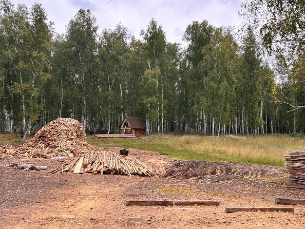 
  Продается производственное помещение, 50 м², Анисимовская ул, д. 8
. Фото 13.