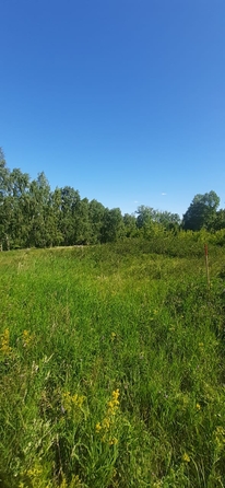 
  Продается земельный участок, 11 соток, поселок Бельмесево
. Фото 4.