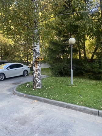 
  Сдается 2-комн. квартира, 80.2 м², Змеиногорский тракт, д. 69л
. Фото 28.