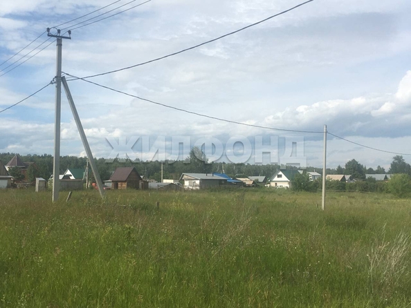 
  Продается земельный участок, 10 соток, поселок Черницк
. Фото 6.