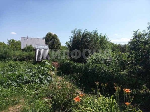 
  Продается дом, 39.7 м², село Зайцево
. Фото 10.