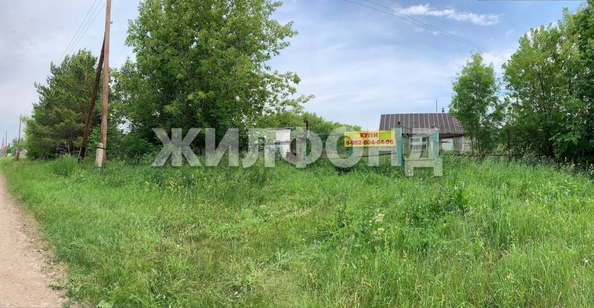 
  Продается земельный участок, 46 соток, поселок Черницк
. Фото 1.