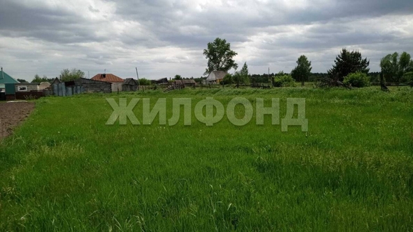 
  Продается дом, 65.9 м², село Ребриха
. Фото 29.
