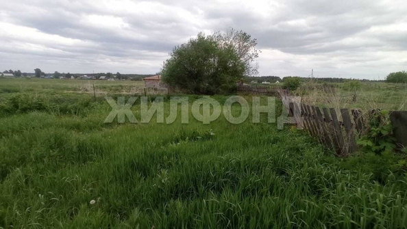 
  Продается дом, 65.9 м², село Ребриха
. Фото 33.