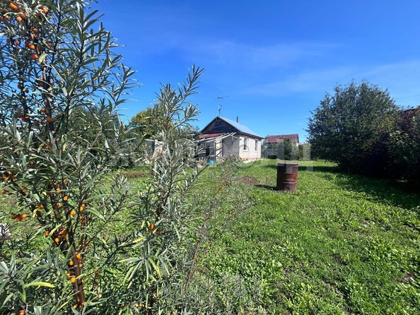 
  Продается дача, 30 м², СНТ Агрегат
. Фото 3.
