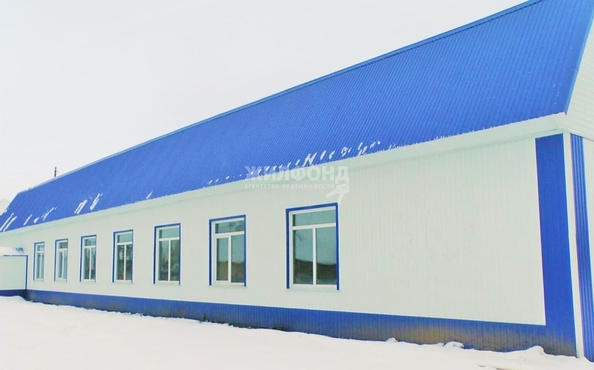 
  Продается готовый бизнес, 198 м², Крупская ул
. Фото 1.