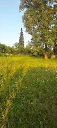 
  Продается земельный участок 23.5 сотки. Фото 6.