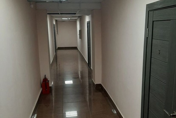 
  Продается торговая площадь 501.3 м². Фото 22.