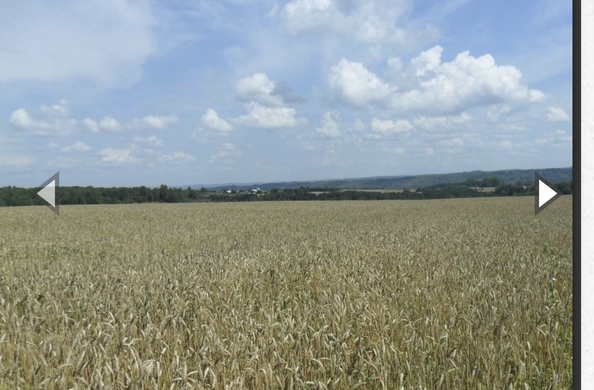 
  Продается производственное помещение 11000000 м². Фото 12.