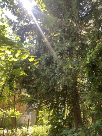 
  Продается дача 74 м². Фото 2.