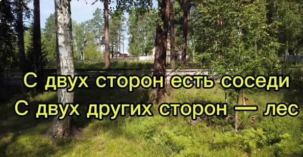 
  Продается земельный участок 24 сотки. Фото 7.