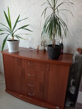 
  Сдам 1-комн. квартиру 38 м². Фото 2.