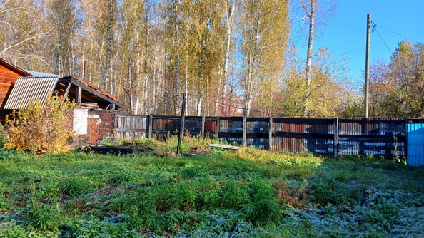 
  Продается земельный участок 5 соток. Фото 8.
