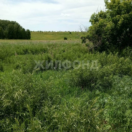 
  Продается земельный участок 0 соток. Фото 4.