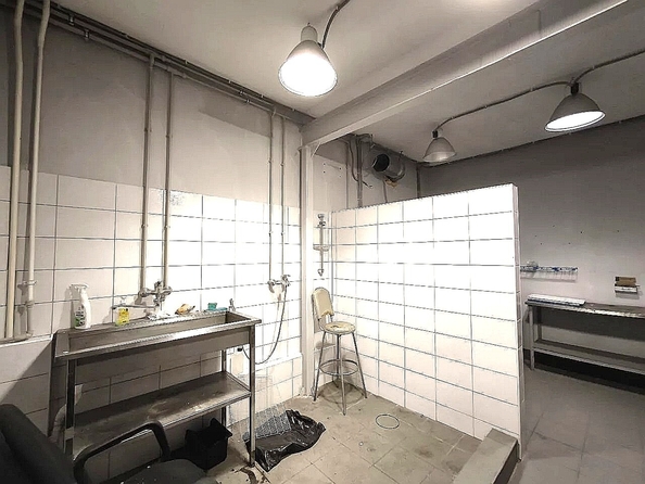 
  Продается универсальное помещение 116.5 м². Фото 9.