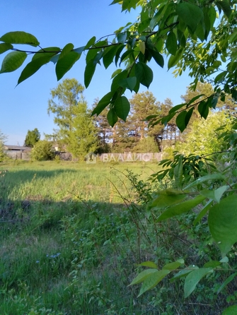 
  Продается дом, 33.8 м², село Горячинск
. Фото 2.