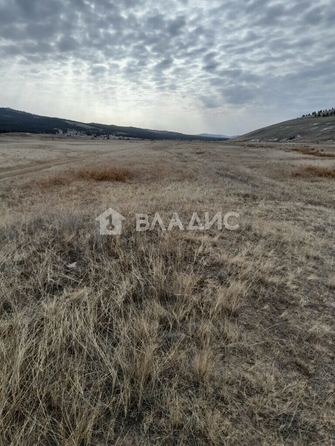 
  Продается земельный участок, 2019.68 соток, село Нижний Жирим
. Фото 3.
