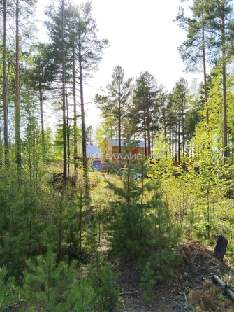
  Продается земельный участок, 6 соток, село Горячинск
. Фото 1.