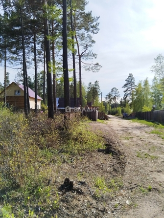 
  Продается земельный участок, 6 соток, село Горячинск
. Фото 2.