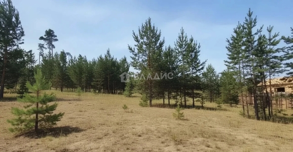
  Продам земельный участок 5.01 соток. Фото 2.