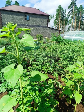 
  Продается дом 141.1 м². Фото 34.