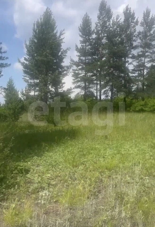 
  Продается земельный участок 35.59 соток. Фото 4.