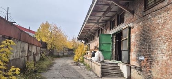 
   Сдам помещение под производство, 844.7 м², Левый берег Каи ул, 92/17

. Фото 8.