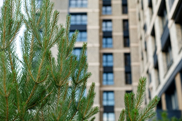 
   Продам 3-комнатную, 68.3 м², Култукская ул, 16

. Фото 34.