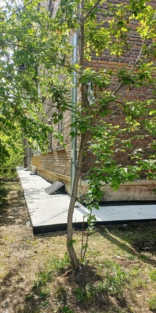 
  Продам 1-комн. квартиру, 32.4 м², Баррикад ул, д. 54и
. Фото 2.