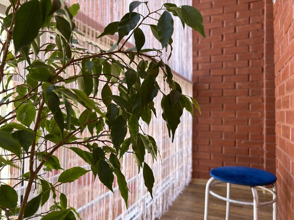 
  Продается 2-комн. квартира, 58 м², Рябикова б-р, д. 100
. Фото 36.