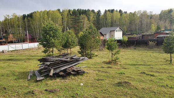 
  Продается земельный участок, 26 соток, деревня Новогрудинина
. Фото 12.