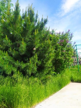 
  Продается дом, 238 м², Иркутск
. Фото 16.
