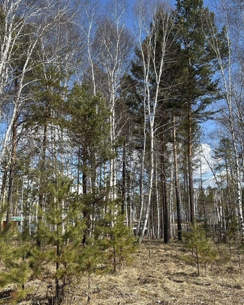 
  Продается земельный участок, 13 соток, ДНТ Ангарский Берег
. Фото 3.