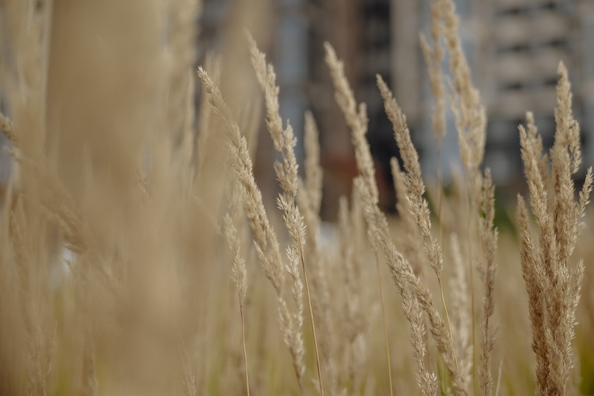 
  Продается 4-комн. квартира, 156.65 м², ЖК Сибиряков, блок-секция 7
. Фото 12.