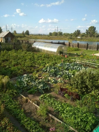 
  Продается земельный участок, 17 соток, СНТ Лесник-1
. Фото 14.