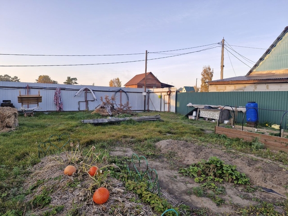 
  Продается земельный участок, 6.5 соток, СНТ Приангарье
. Фото 5.