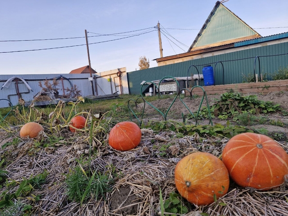 
  Продается земельный участок, 6.5 соток, СНТ Приангарье
. Фото 6.