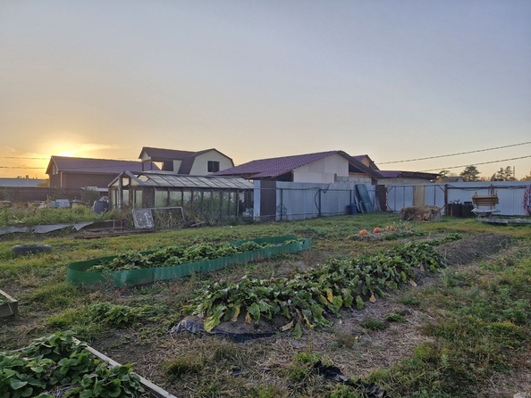 
  Продается земельный участок, 6.5 соток, СНТ Приангарье
. Фото 9.