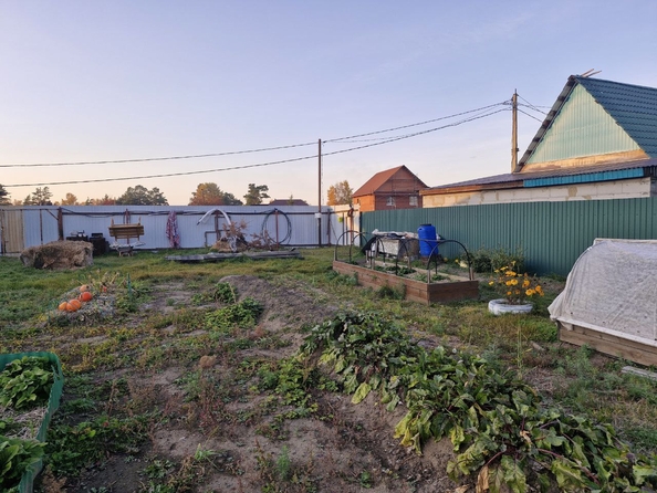 
  Продается земельный участок, 6.5 соток, СНТ Приангарье
. Фото 11.