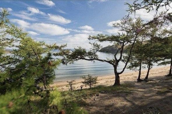 
  Продается земельный участок 350 соток. Фото 5.