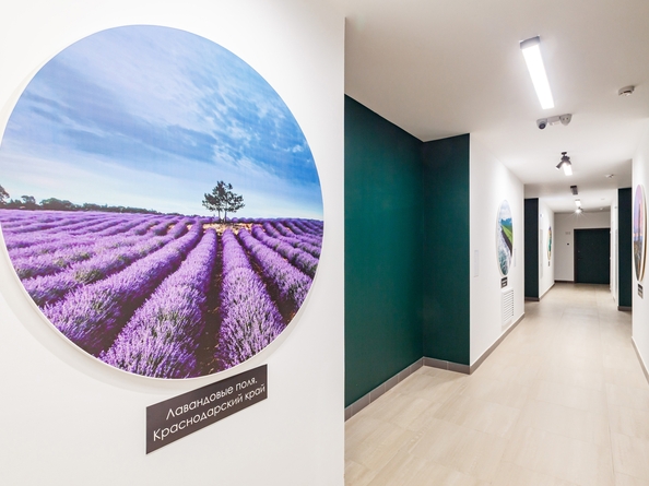 
  Продается 4-комн. квартира 81.6 м², в ЖК Квартал Стрижи, 3 очередь, дом 1. Фото 30.