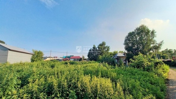 
  Продам  участок ИЖС, 15 соток, Кемерово

. Фото 4.